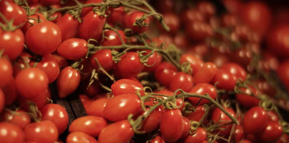 Cherry- und Dattelstrauchtomaten
