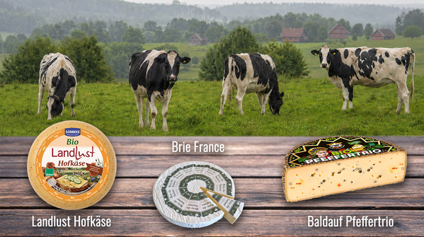 KI generiert: Vier Kühe auf einer Weide; unten drei Käsesorten: Landlust Hofkäse, Brie France, Baldauf Pfeffertrio.
