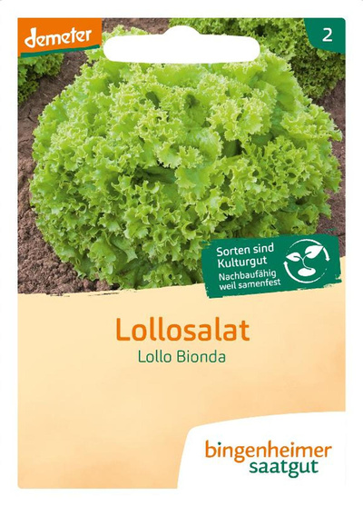 Produktfoto zu Saatgut Lollosalat Lollo Bionda