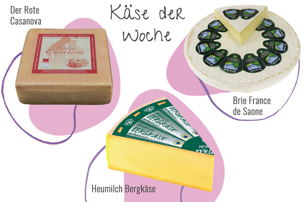 Drei Käsesorten aus der Abokiste in einem Bild