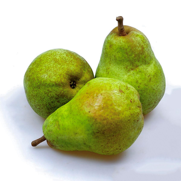 Produktfoto zu Birne Clapps Liebling