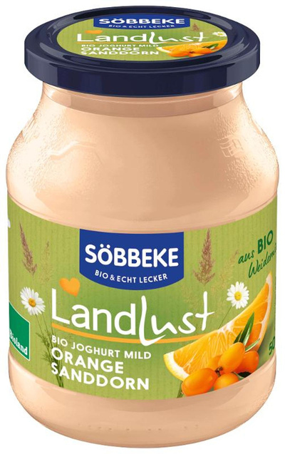 Produktfoto zu Joghurt Sanddorn-Orange 3,8%, 500g