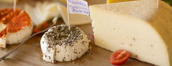 Grünland Bio Lieferant Michaelshof Käseauswahl