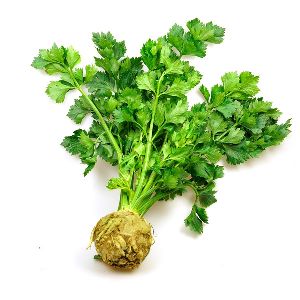 Produktfoto zu Kleiner Knollensellerie mit Grün