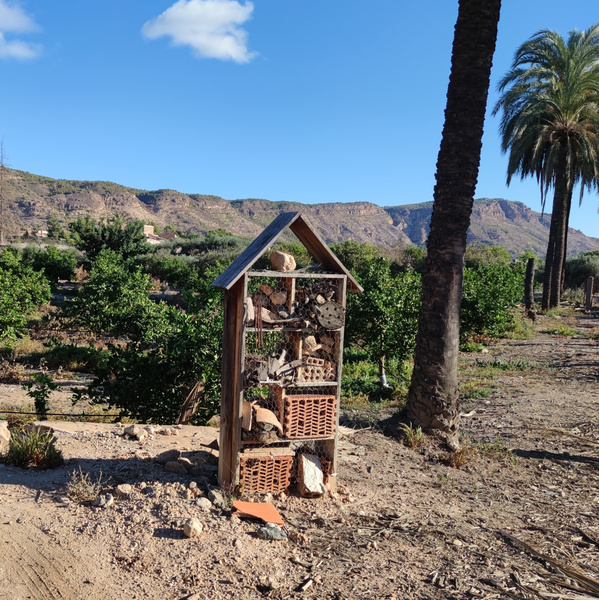KI generiert: Das Bild zeigt ein Insektenhotel in einer ländlichen Landschaft mit Bäumen und Palmen im Hintergrund. Der Himmel ist teilweise bewölkt, und die Umgebung wirkt ruhig und naturnah.