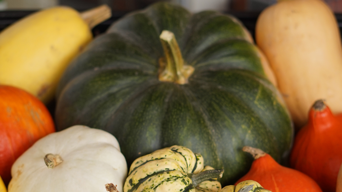 KI generiert: Verschiedene Kürbisse in verschiedenen Farben und Formen.