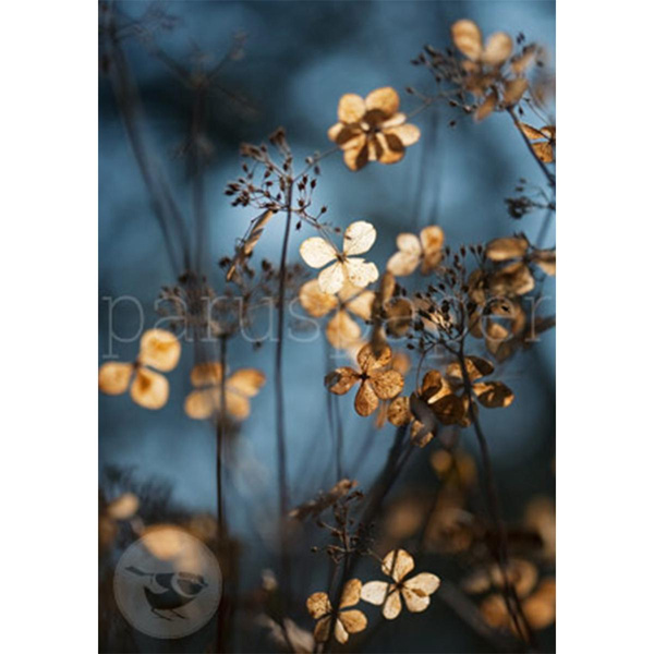 Produktfoto zu Postkarte Gold & Blue