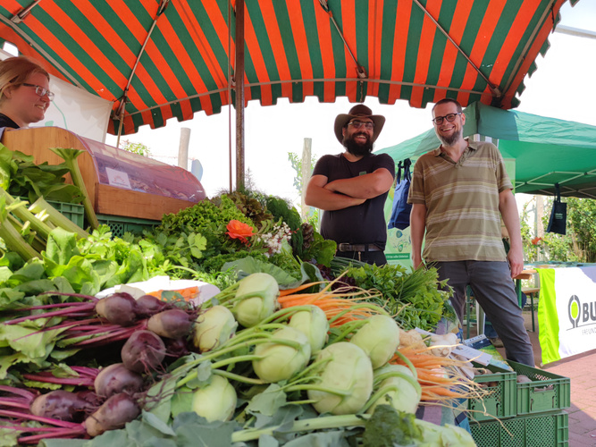 Marktstand mit Gemüse von Aram Quis auf Grünland Sommerfest