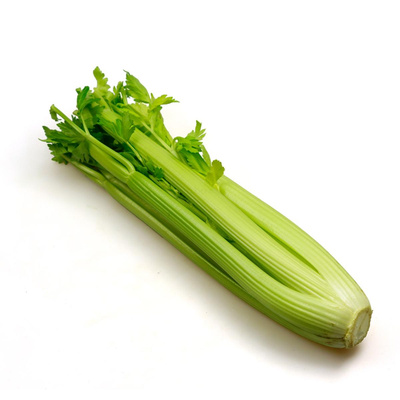 Produktfoto zu Staudensellerie klein