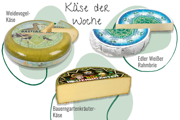 Drei Käsesorten aus der Abokiste in einem Bild