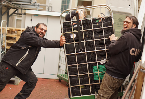 Anöieferung frischer Grünkohl