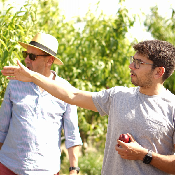 KI generiert: Zwei Männer stehen in einem Obstgarten; einer hält eine Frucht und zeigt in die Ferne.