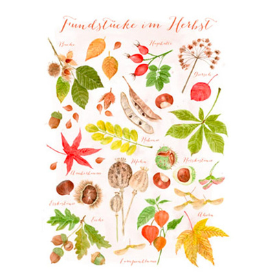 Produktfoto zu Postkarte Fundstücke im Herbst