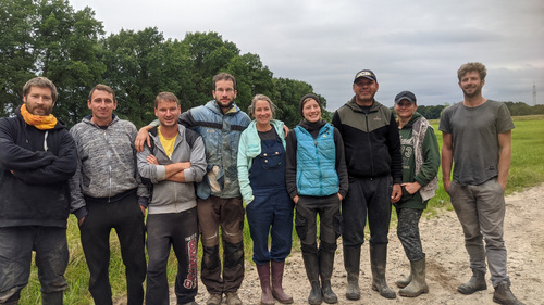 Grünland Bio Lieferant Hof Brummelkamp