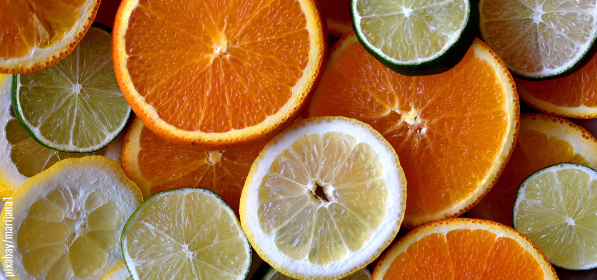 Scheiben von Zitrusfrüchten über- und untereinander arrangiert