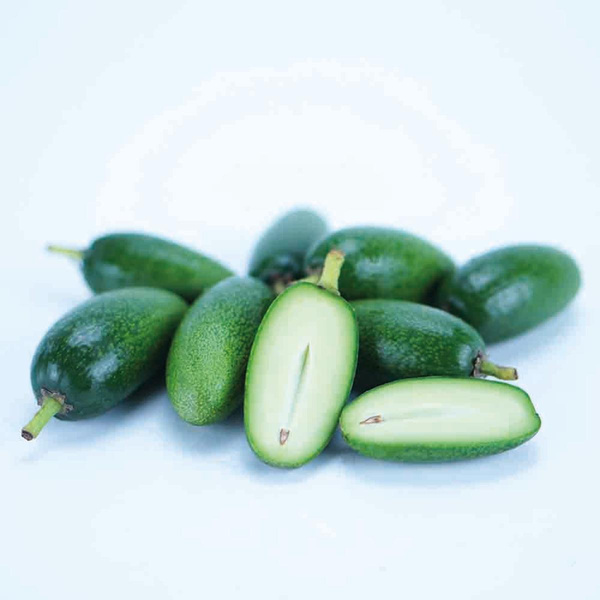 Produktfoto zu Avocados Cocktail lose 'Jalhuca'