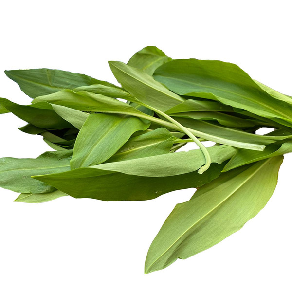 Produktfoto zu Bärlauch