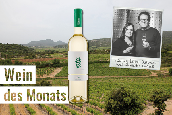 KI generiert: Weinflasche auf Weinberg, Text: "Wein des Monats", Foto mit Winzern.