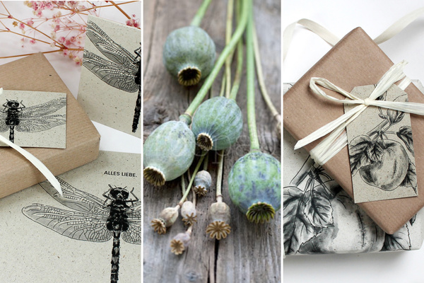 KI generiert: Geschenke mit botanischen Zeichnungen verpackt; Mohnkapseln auf Holzoberfläche; Text: "ALLES LIEBE."