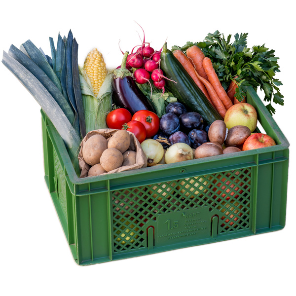 Grünland Regionalkiste Biokiste Ökokiste