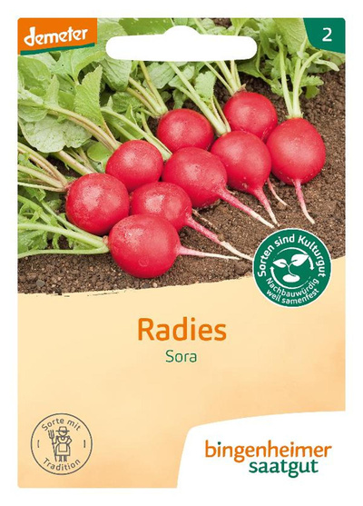 Produktfoto zu Saatgut Radies Sora
