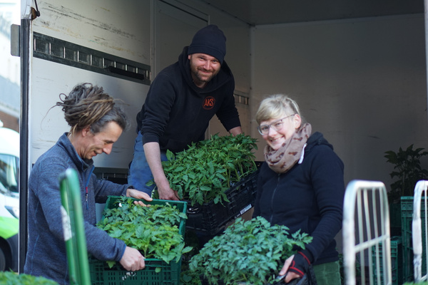 Anlieferung Tomatenpflanzen von Kolja, Felix und Anne helfen ausladen
