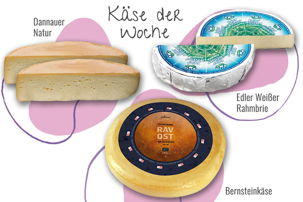 KI generiert: Käsesorten: Dannauer Natur, Edler Weißer Rahmbrie, Bernsteinkäse. Text: "Käse der Woche".