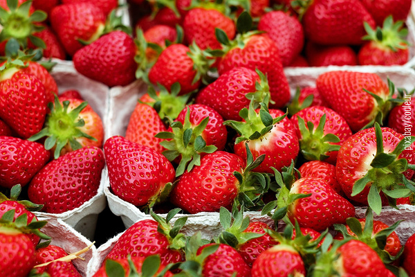 Erdbeeren in mehreren Pappschalen
