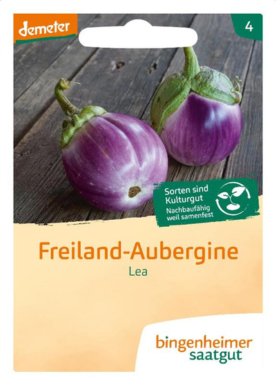 Produktfoto zu Saatgut Freiland-Aubergine Lea