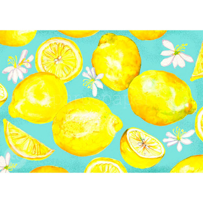 Produktfoto zu Postkarte Zitronenfrische