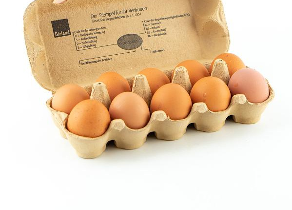 10 Eier in Eierkarton