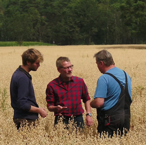 Einkäufer Fiete vom Bauckhof mit Produzenten auf Getreidefeld