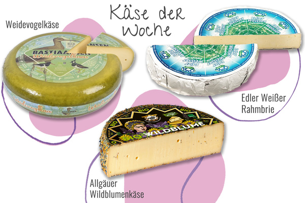 Drei Käsesorten aus der Abokiste in einem Bild