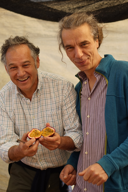 KI generiert: Zwei Männer zeigen eine aufgeschnittene Passionsfrucht und lachen in die Kamera.