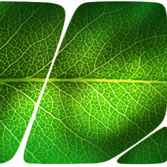 Bildausschnitt Logo BIOFACH-Messe in Nürnberg 2023