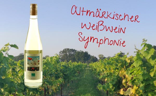 Bildkomposition altmärkischer Weißwein Symphonie und Weinberg