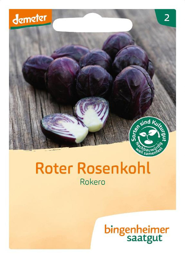 Produktfoto zu Saatgut Roter Rosenkohl