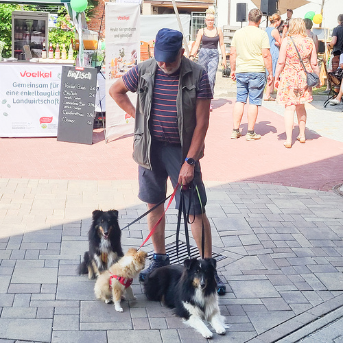 Grünlandfest Gast mit 3 Hunden an Leine