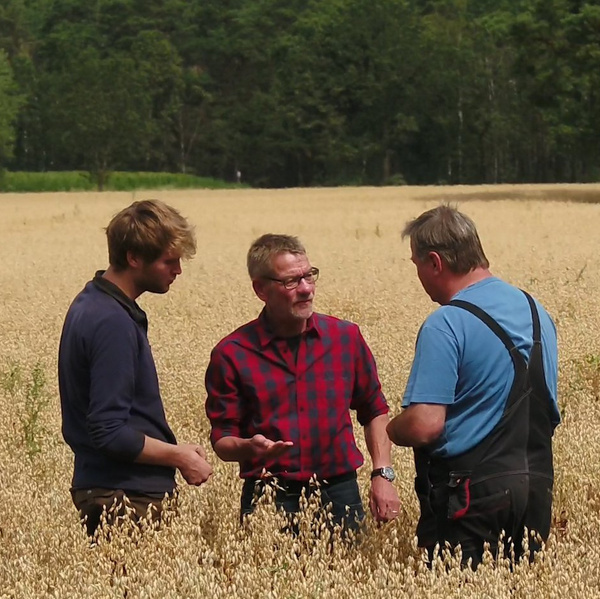 Grünland Bio Lieferant Bauckhof im Getreidefeld
