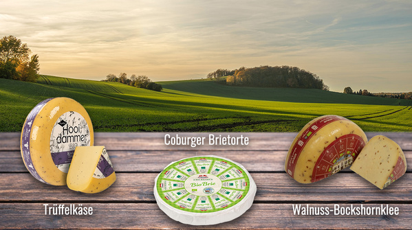 Wiese und Herbstwald im Hintergrund, Tisch mit Käse im Vordergrund mit einem Tisch im Vordergrund mit den drei Käsesorten: Baldauf Meisterstück, Coburger Brietorte und Dannauer Bockshornklee