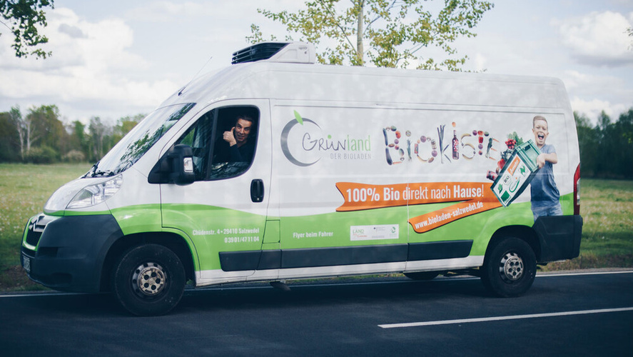 Fleischtomate noch nicht ganz ausgereift am Stiel mit Blattwerk 