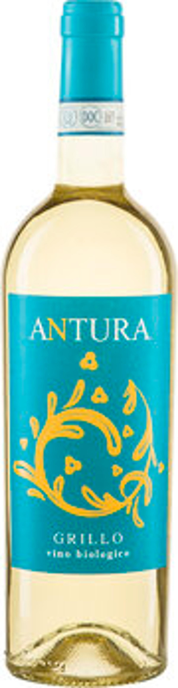 Produktfoto zu Grillo 'Antura' IGP Maggio