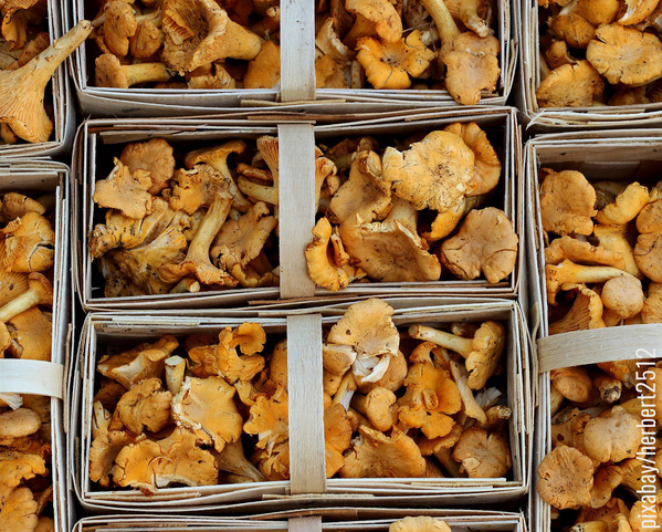 KI generiert: Körbe voller frischer Pfifferlinge. Text: "pixabay/herbert2512".