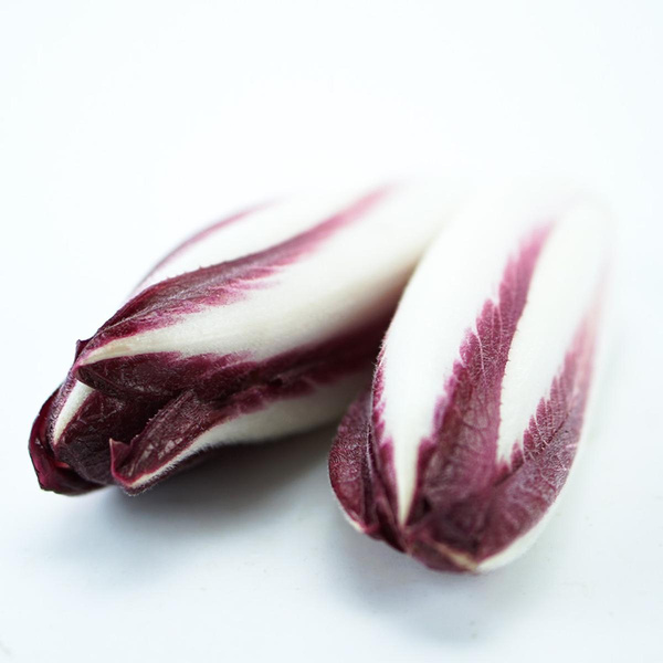 Produktfoto zu Chicoree rot