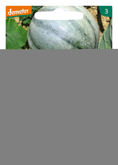 Produktfoto zu Saatgut Zuckermelone