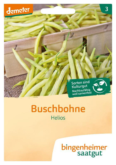 Produktfoto zu Saatgut Buschbohne Helios