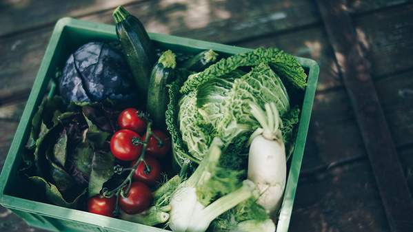 KI generiert: Eine grüne Kiste mit frischem Gemüse wie Tomaten, Kohl und Zucchini.
