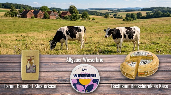 Unser Käse-Trio der Woche