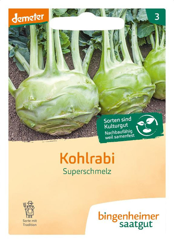 Produktfoto zu Saatgut Kohlrabi Superschmelz
