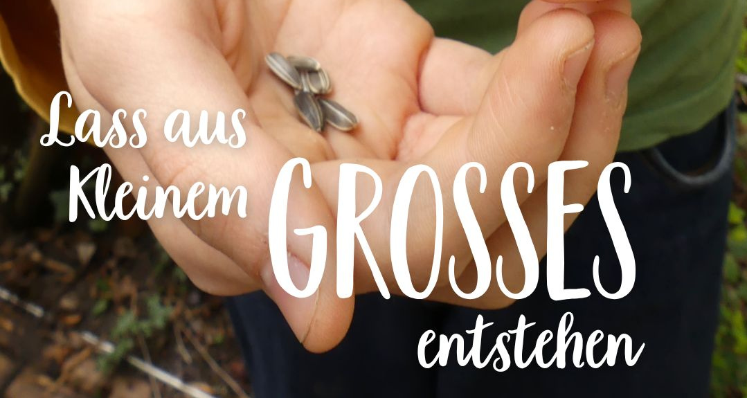 Geöffnete Hand mit Sonneblumensamen